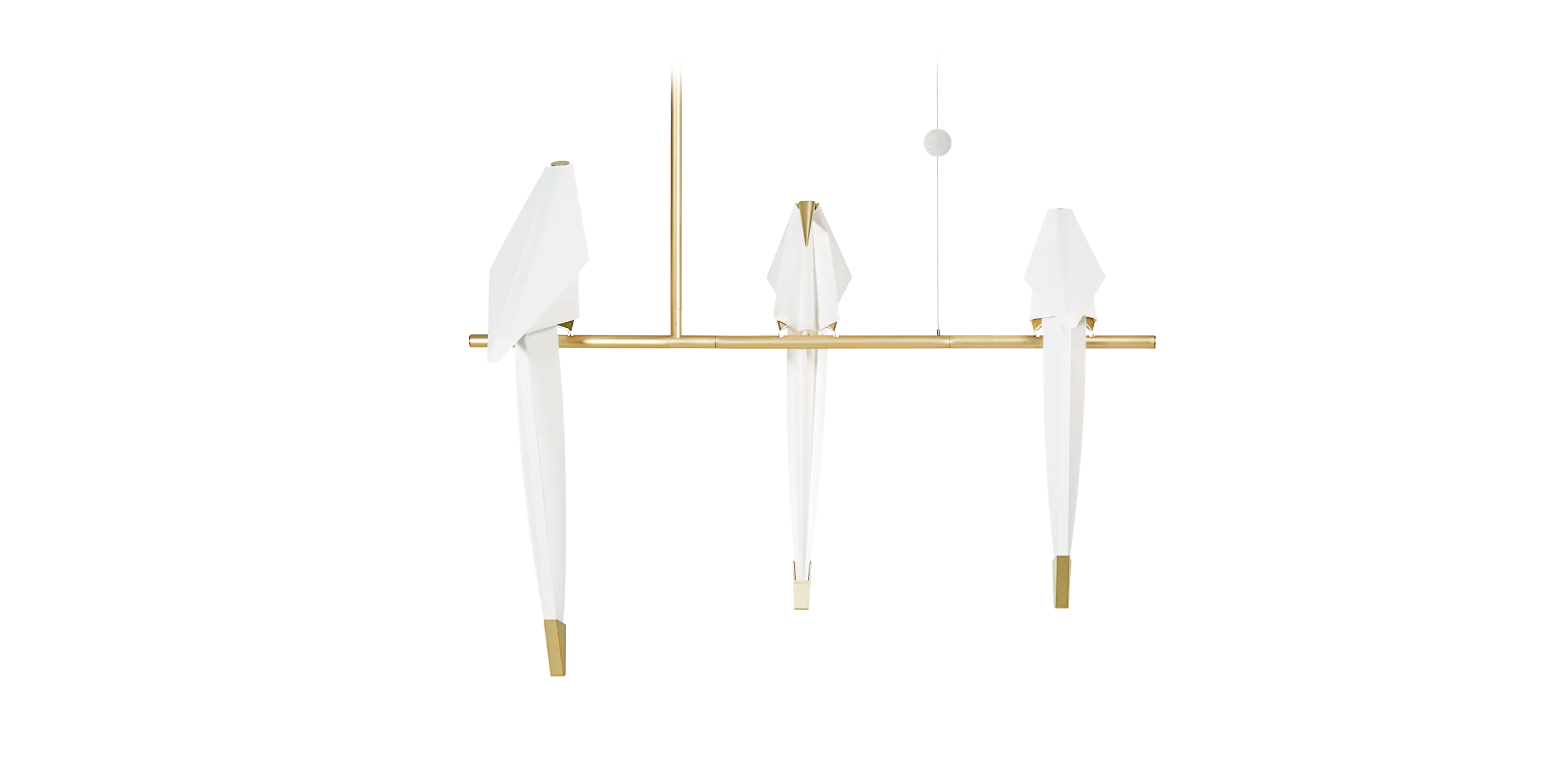 Perch Light Branch front side